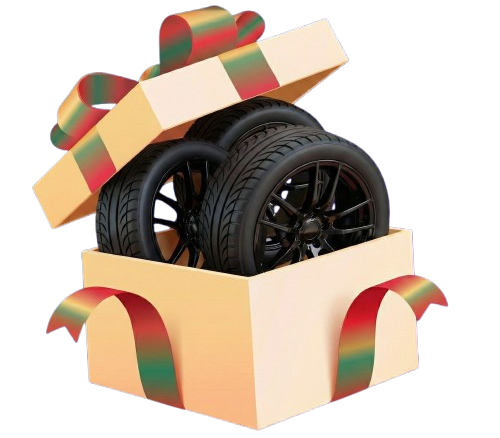 Juego de Neumáticos adicionales